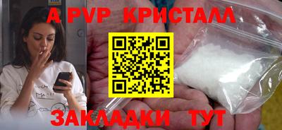 тгк Гай