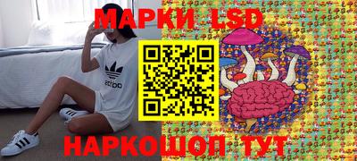 тгк Гай
