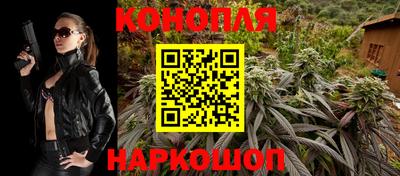 Альфа ПВП Гатчина