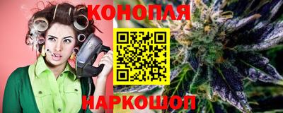 тгк Гай
