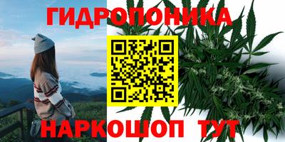 Альфа ПВП Гатчина