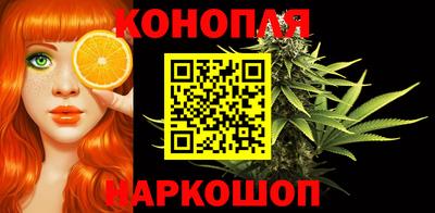Альфа ПВП Гатчина