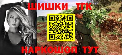 тгк Гай