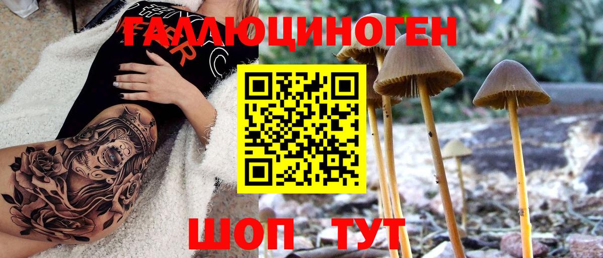 Галлюциногенные грибы мухоморы  как найти   Псилоцибиновые грибы MAGIC MUSHROOMS  Карачаевск  Вход с VPN 