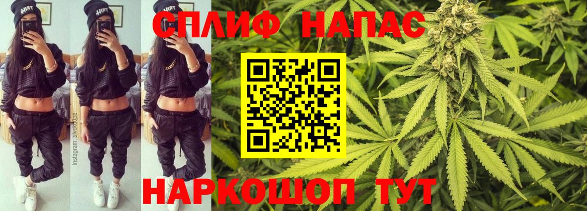 Канабис ГИДРОПОН Карачаевск