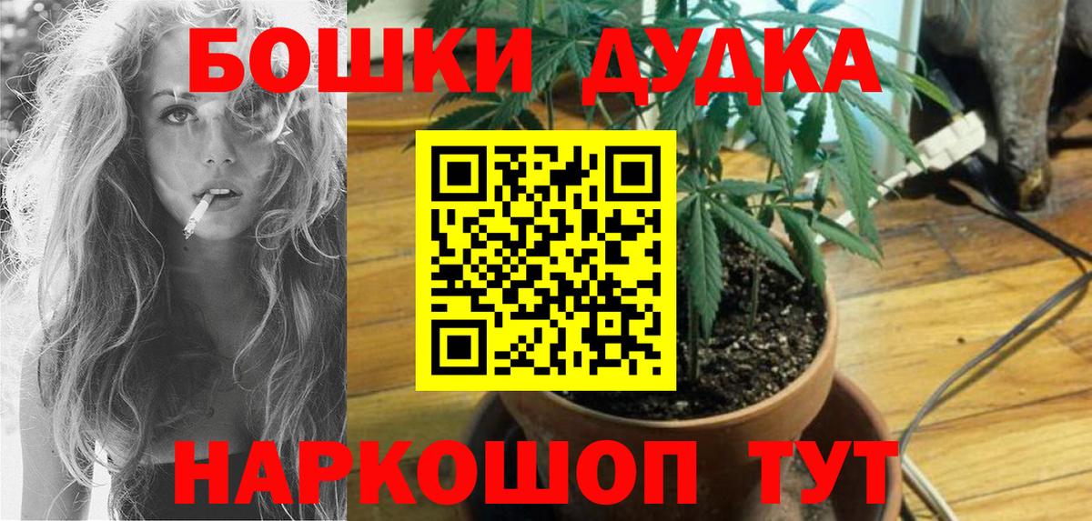 Каннабис планчик Карачаевск